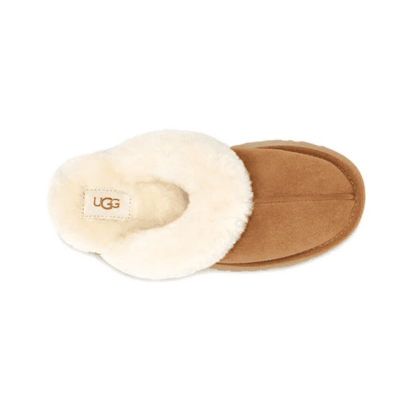 ⁦כפכפי נשים UGG / Disquette Chestnut⁩ – תמונה ⁦5⁩